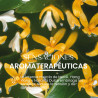 Esencia sólida rosa perfumada Nirvana