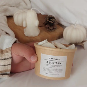 Wax Melt de cedro y sándalo