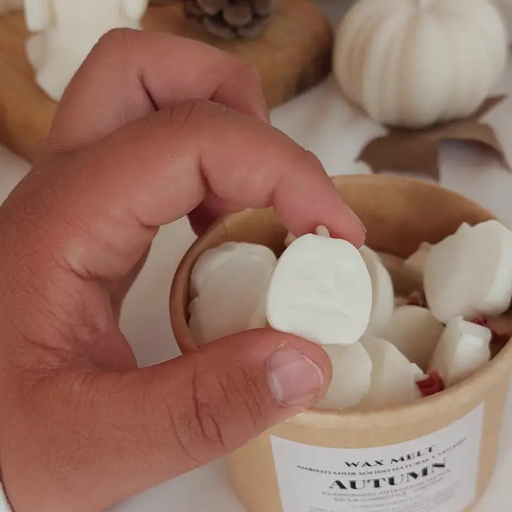 Wax Melt de cedro y sándalo