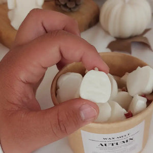 Wax Melt de cedro y sándalo