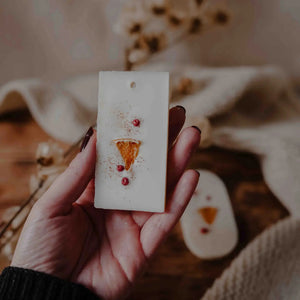 Pastilla cera perfumada Orange Cinnamon